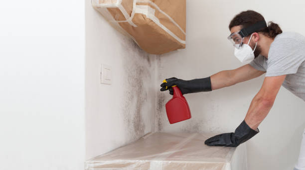 Professional Crawl Space Mold Removal technician working in Waltham, MA
