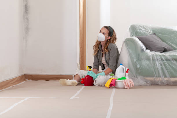 Reliable Crawl Space Mold Removal contractor in Waltham, MA by WQB Mold Removal